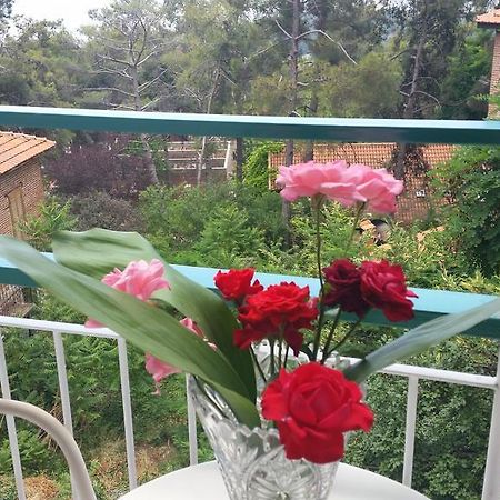 Edelweiss Hotel Платрес Екстер'єр фото